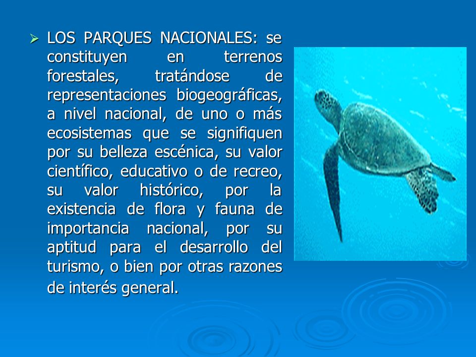 LOS PARQUES NACIONALES: se constituyen en terrenos forestales, tratándose de representaciones biogeográficas, a nivel nacional, de uno o más ecosistemas que se signifiquen por su belleza escénica, su valor científico, educativo o de recreo, su valor histórico, por la existencia de flora y fauna de importancia nacional, por su aptitud para el desarrollo del turismo, o bien por otras razones de interés general.