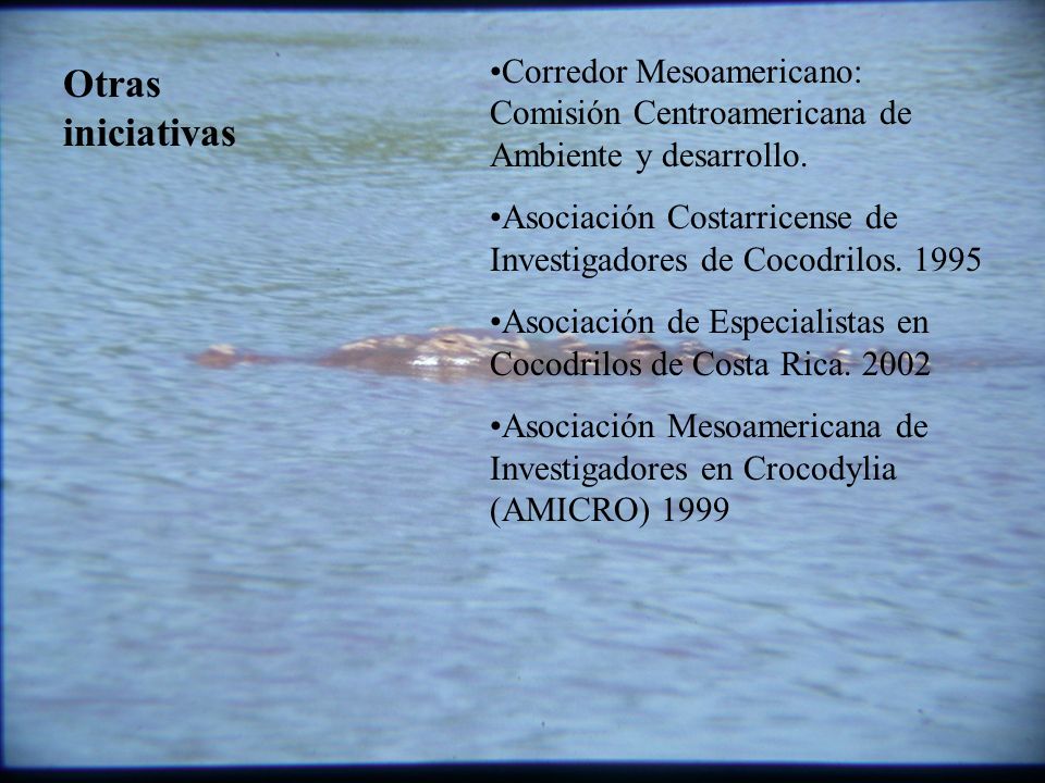 Corredor Mesoamericano: Comisión Centroamericana de Ambiente y desarrollo.