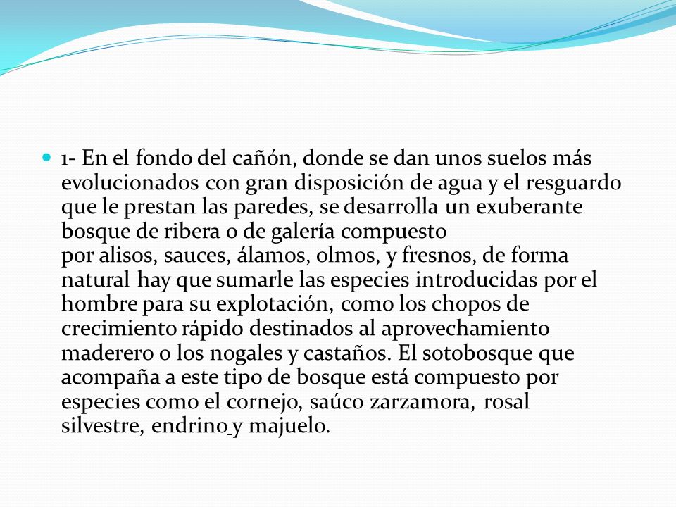 1- En el fondo del cañón, donde se dan unos suelos más evolucionados con gran disposición de agua y el resguardo que le prestan las paredes, se desarrolla un exuberante bosque de ribera o de galería compuesto por alisos, sauces, álamos, olmos, y fresnos, de forma natural hay que sumarle las especies introducidas por el hombre para su explotación, como los chopos de crecimiento rápido destinados al aprovechamiento maderero o los nogales y castaños.
