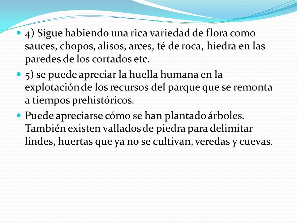 4) Sigue habiendo una rica variedad de flora como sauces, chopos, alisos, arces, té de roca, hiedra en las paredes de los cortados etc.
