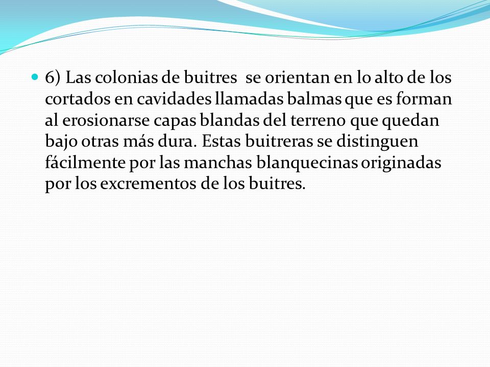 6) Las colonias de buitres se orientan en lo alto de los cortados en cavidades llamadas balmas que es forman al erosionarse capas blandas del terreno que quedan bajo otras más dura.