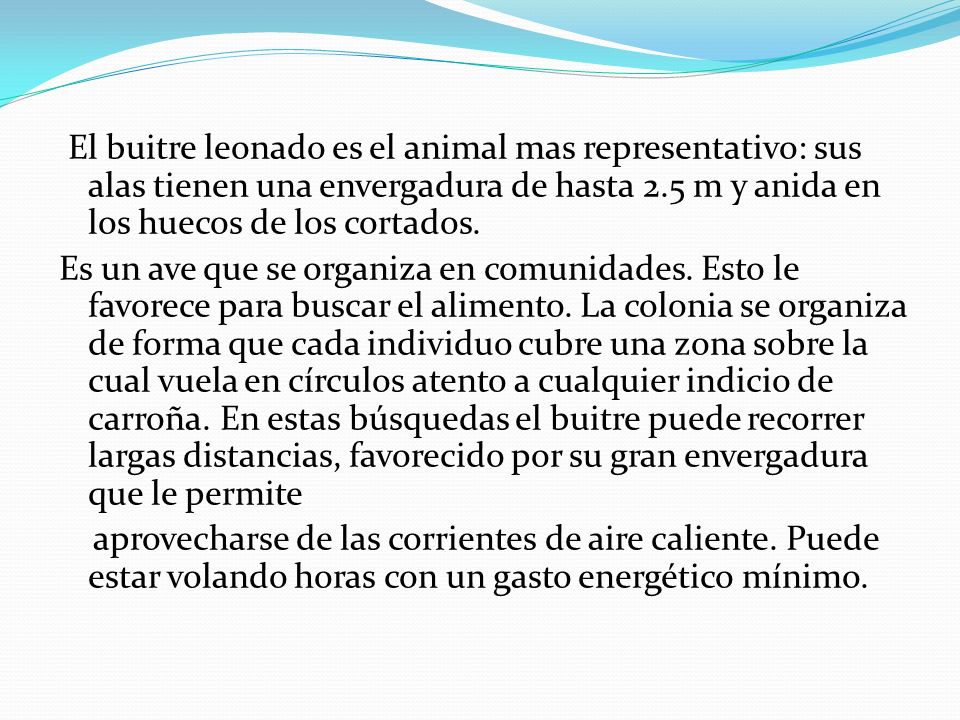 El buitre leonado es el animal mas representativo: sus alas tienen una envergadura de hasta 2.5 m y anida en los huecos de los cortados.