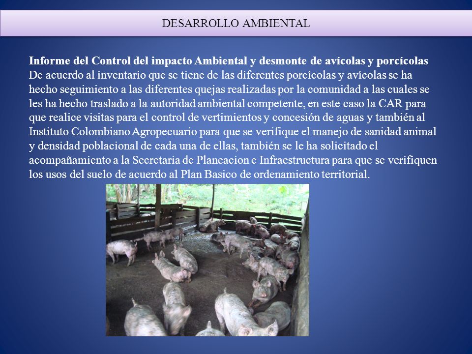DESARROLLO AMBIENTAL Informe del Control del impacto Ambiental y desmonte de avícolas y porcícolas.