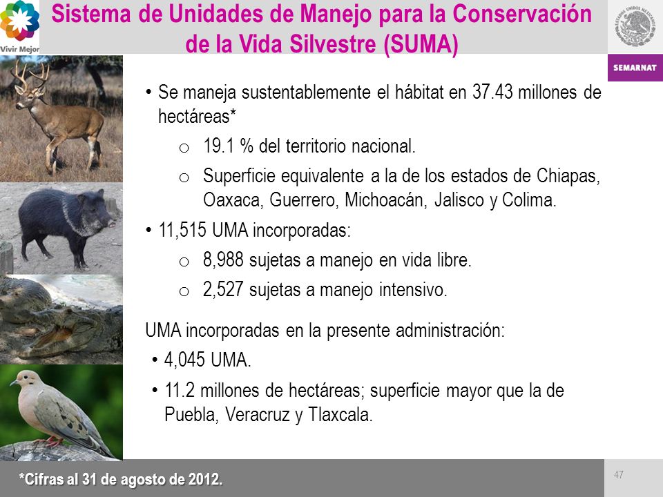Sistema de Unidades de Manejo para la Conservación de la Vida Silvestre (SUMA)