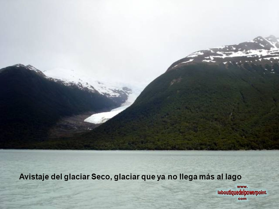 Avistaje del glaciar Seco, glaciar que ya no llega más al lago