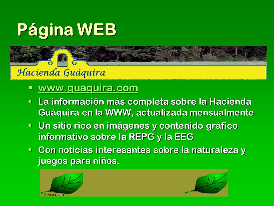 Página WEB   La información más completa sobre la Hacienda Guáquira en la WWW, actualizada mensualmente.