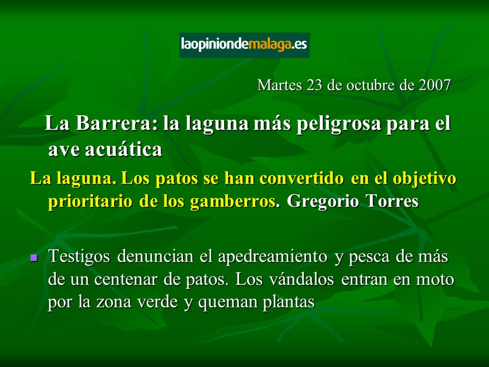 La Barrera: la laguna más peligrosa para el ave acuática