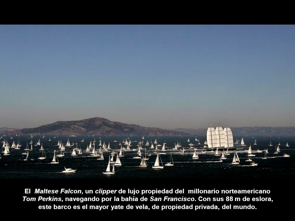 El Maltese Falcon, un clipper de lujo propiedad del millonario norteamericano Tom Perkins, navegando por la bahía de San Francisco.
