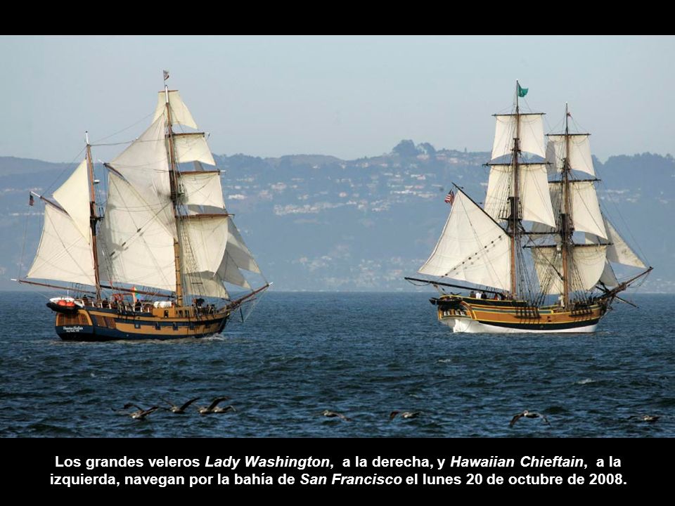 Los grandes veleros Lady Washington, a la derecha, y Hawaiian Chieftain, a la izquierda, navegan por la bahía de San Francisco el lunes 20 de octubre de 2008.