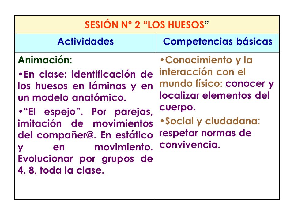 SESIÓN Nº 2 LOS HUESOS Actividades. Competencias básicas. Animación: En clase: identificación de los huesos en láminas y en un modelo anatómico.