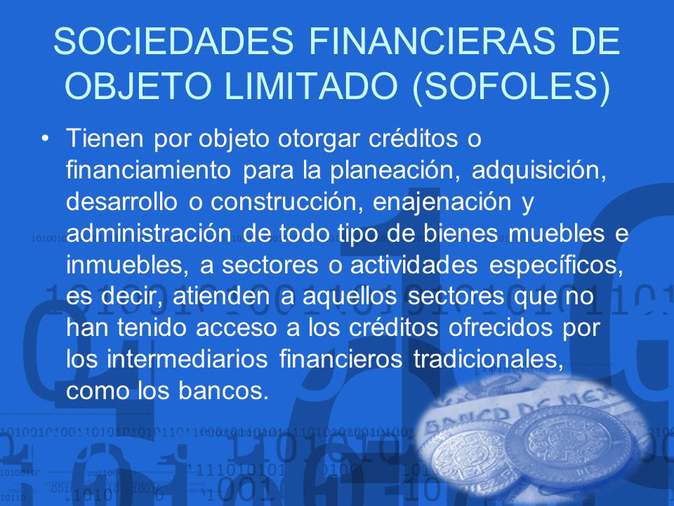 SOCIEDADES FINANCIERAS DE OBJETO LIMITADO (SOFOLES)