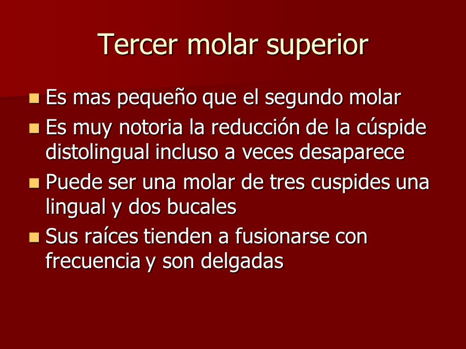 Tercer molar superior Es mas pequeño que el segundo molar