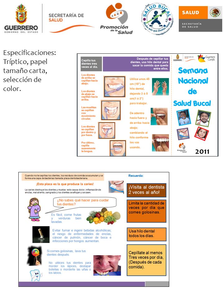 Especificaciones: Tríptico, papel tamaño carta, selección de color.