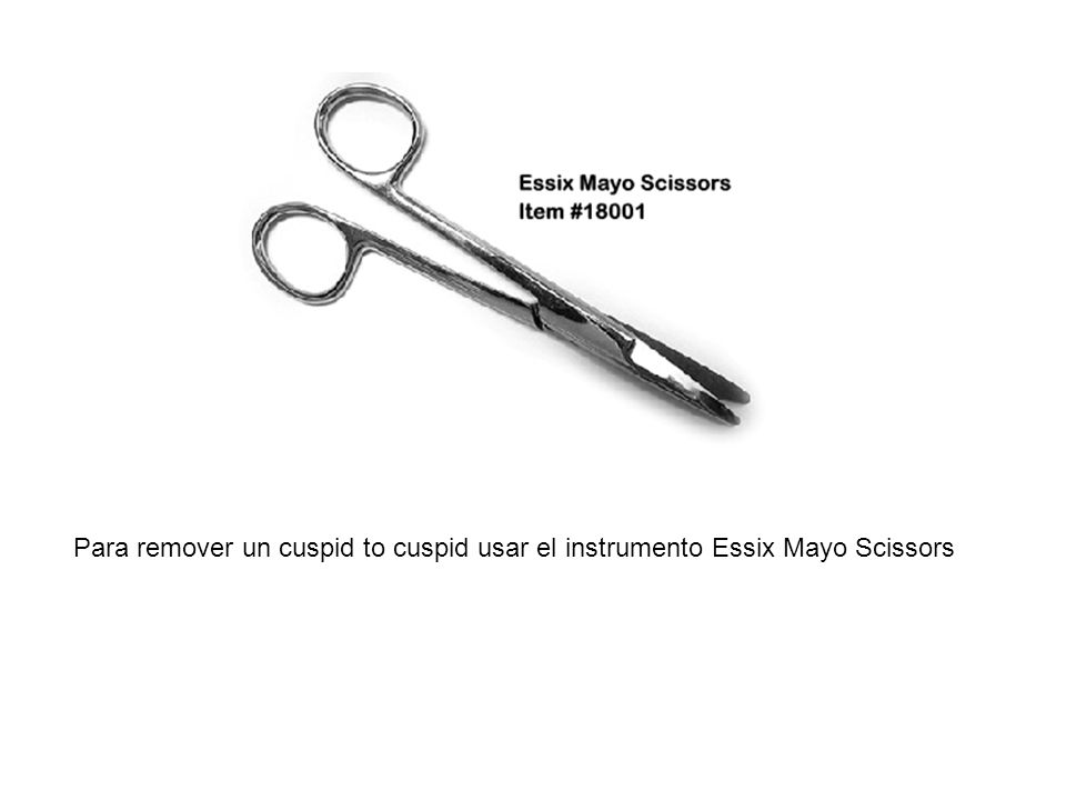 Para remover un cuspid to cuspid usar el instrumento Essix Mayo Scissors