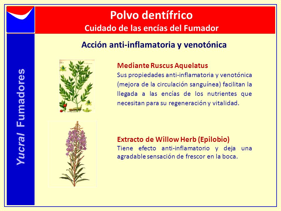 Polvo dentífrico Yucral Fumadores Cuidado de las encías del Fumador