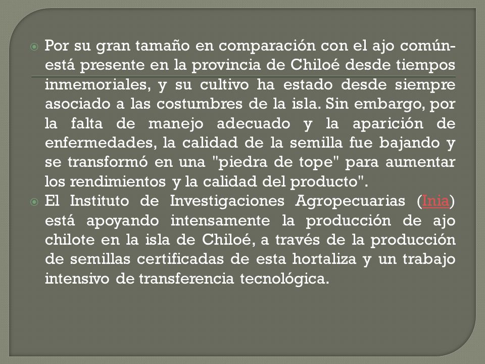 Por su gran tamaño en comparación con el ajo común- está presente en la provincia de Chiloé desde tiempos inmemoriales, y su cultivo ha estado desde siempre asociado a las costumbres de la isla. Sin embargo, por la falta de manejo adecuado y la aparición de enfermedades, la calidad de la semilla fue bajando y se transformó en una piedra de tope para aumentar los rendimientos y la calidad del producto .