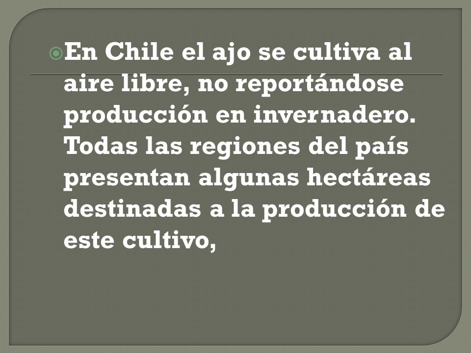 En Chile el ajo se cultiva al aire libre, no reportándose producción en invernadero.