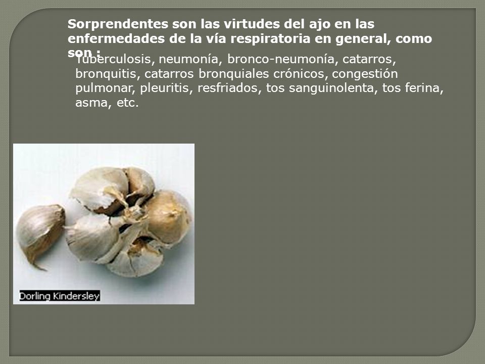 Sorprendentes son las virtudes del ajo en las enfermedades de la vía respiratoria en general, como son :