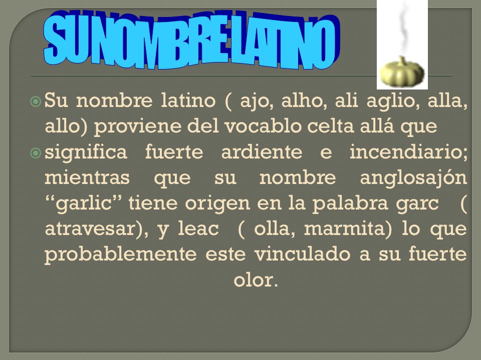 SU NOMBRE LATINO Su nombre latino ( ajo, alho, ali aglio, alla, allo) proviene del vocablo celta allá que.