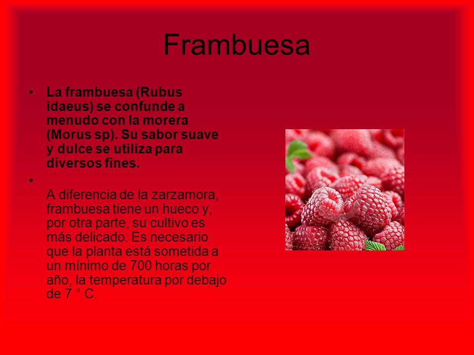 Frambuesa La frambuesa (Rubus idaeus) se confunde a menudo con la morera (Morus sp). Su sabor suave y dulce se utiliza para diversos fines.
