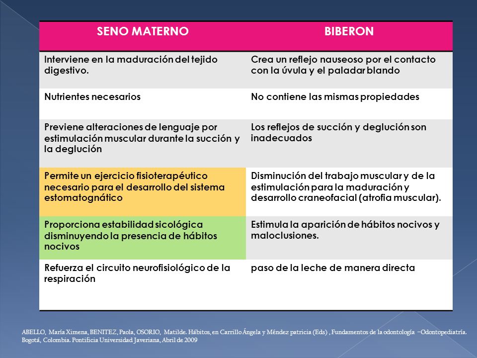 SENO MATERNO BIBERON Interviene en la maduración del tejido digestivo.