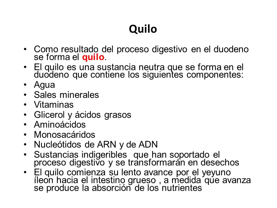Quilo Como resultado del proceso digestivo en el duodeno se forma el quilo.