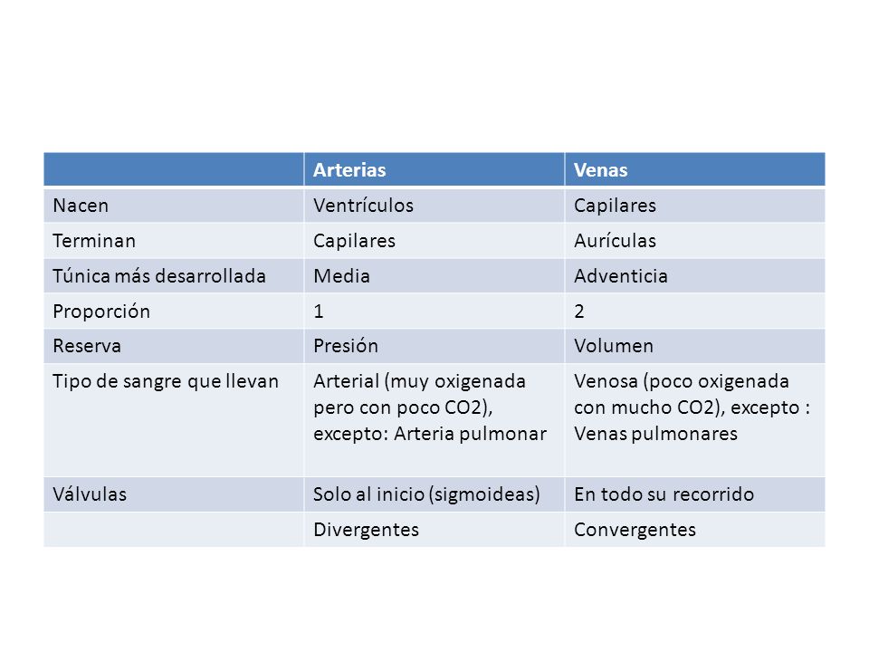 Arterias Venas. Nacen. Ventrículos. Capilares. Terminan. Aurículas. Túnica más desarrollada. Media.