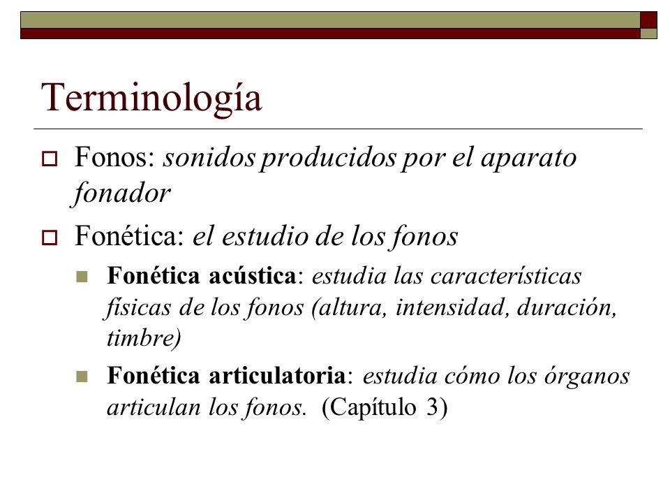 Terminología Fonos: sonidos producidos por el aparato fonador