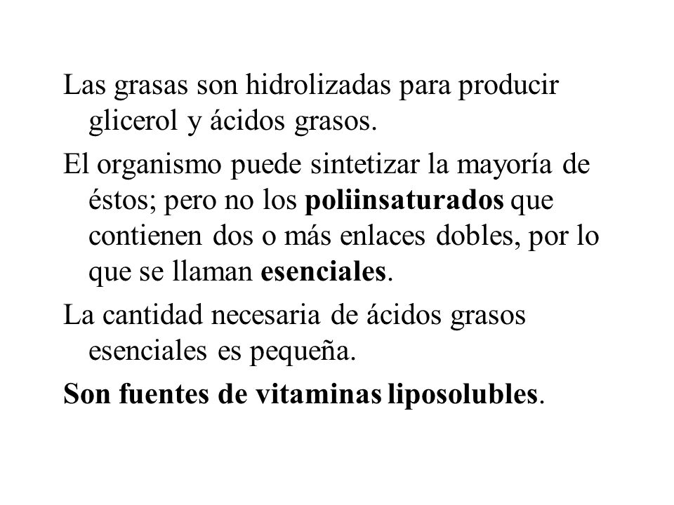 Las grasas son hidrolizadas para producir glicerol y ácidos grasos.