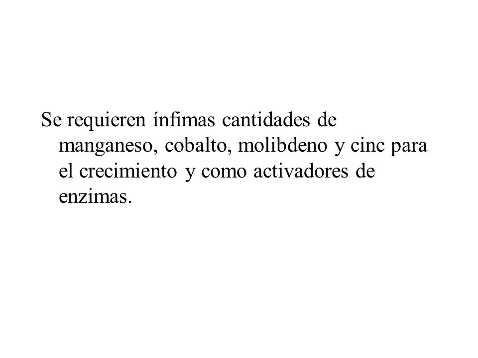 Se requieren ínfimas cantidades de manganeso, cobalto, molibdeno y cinc para el crecimiento y como activadores de enzimas.
