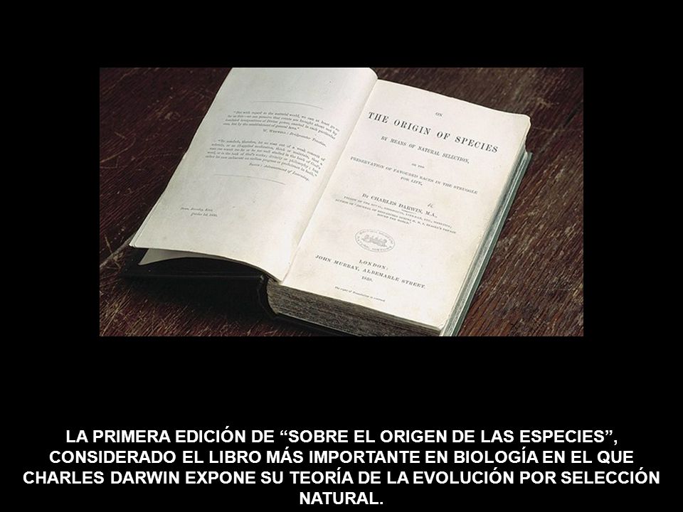 LA PRIMERA EDICIÓN DE SOBRE EL ORIGEN DE LAS ESPECIES , CONSIDERADO EL LIBRO MÁS IMPORTANTE EN BIOLOGÍA EN EL QUE CHARLES DARWIN EXPONE SU TEORÍA DE LA EVOLUCIÓN POR SELECCIÓN NATURAL.