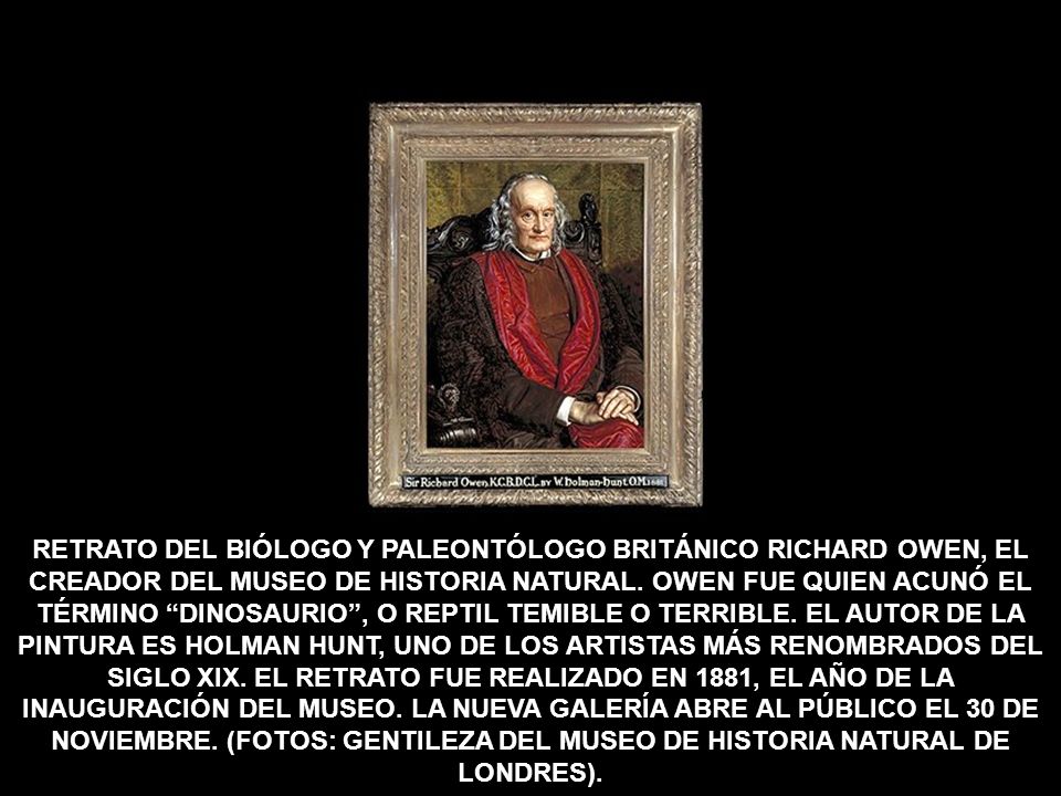 RETRATO DEL BIÓLOGO Y PALEONTÓLOGO BRITÁNICO RICHARD OWEN, EL CREADOR DEL MUSEO DE HISTORIA NATURAL.