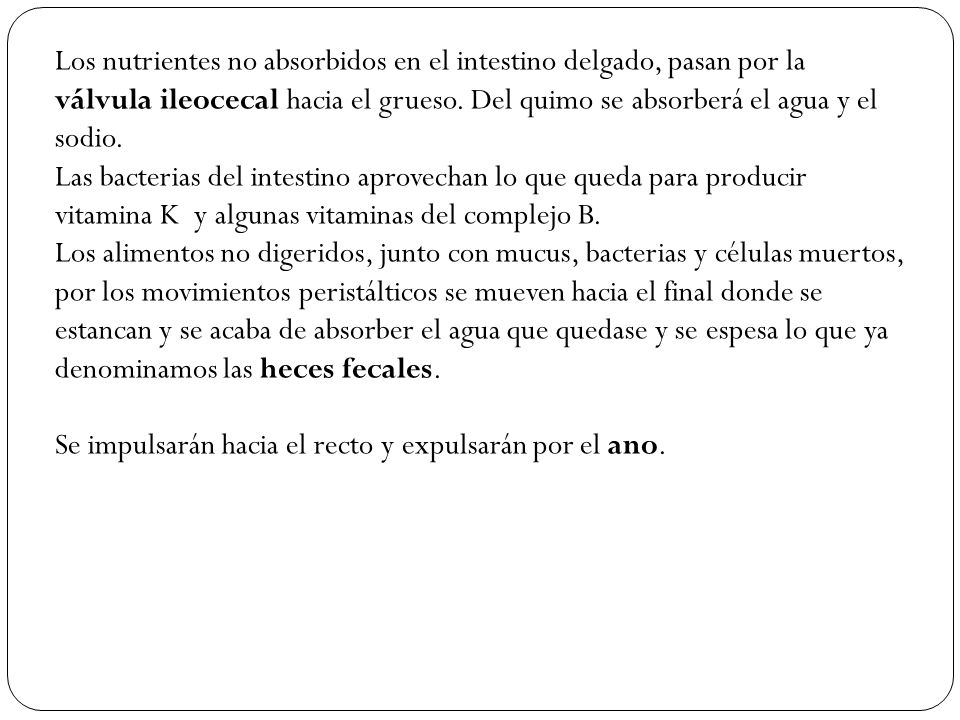 Los nutrientes no absorbidos en el intestino delgado, pasan por la válvula ileocecal hacia el grueso. Del quimo se absorberá el agua y el sodio.