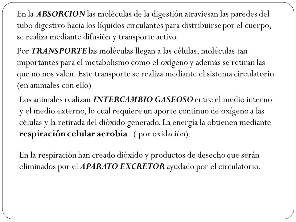 En la ABSORCION las moléculas de la digestión atraviesan las paredes del tubo digestivo hacia los líquidos circulantes para distribuirse por el cuerpo, se realiza mediante difusión y transporte activo.