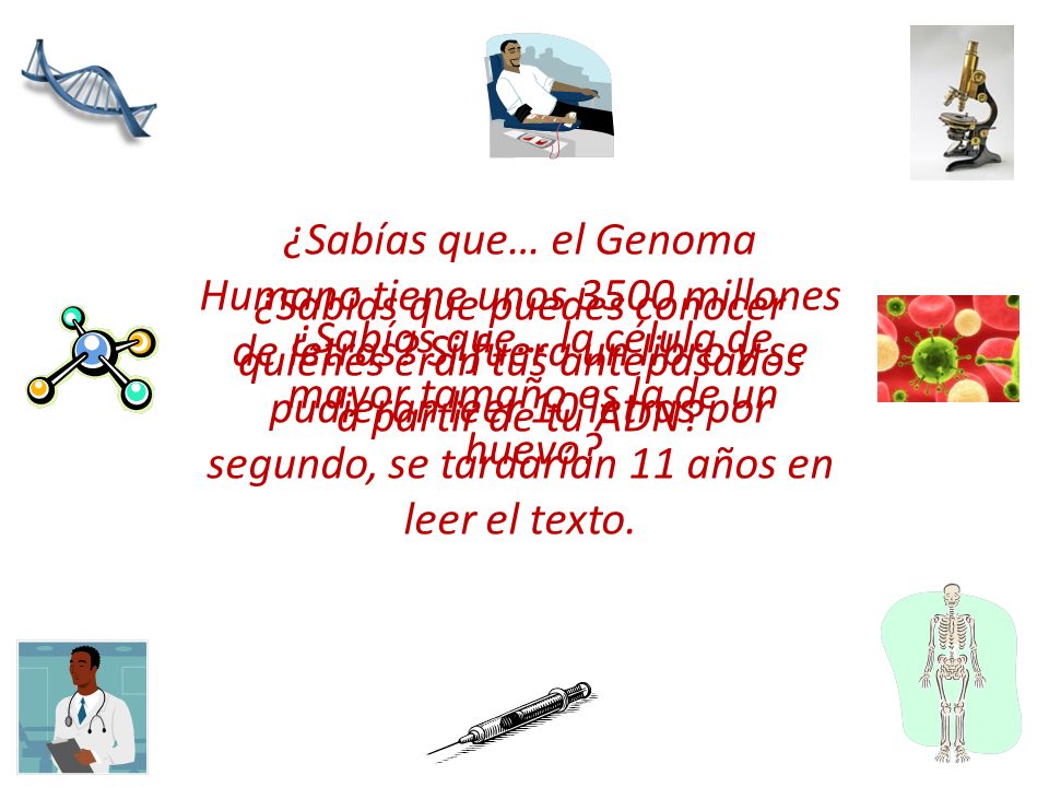 ¿Sabías que… la célula de mayor tamaño es la de un huevo