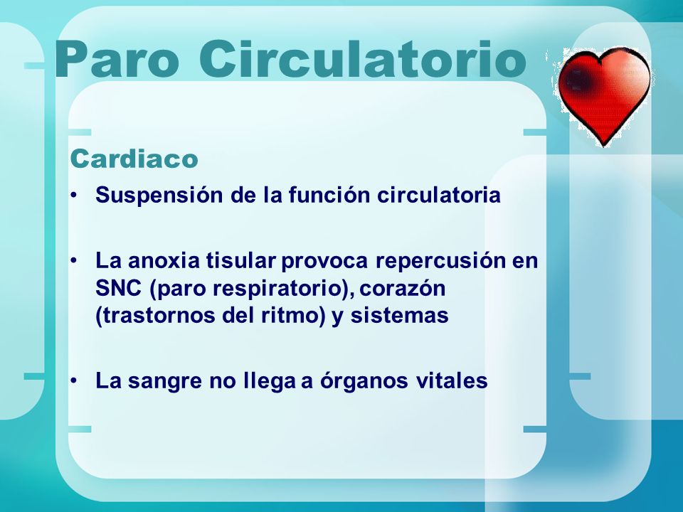 Paro Circulatorio Cardiaco Suspensión de la función circulatoria
