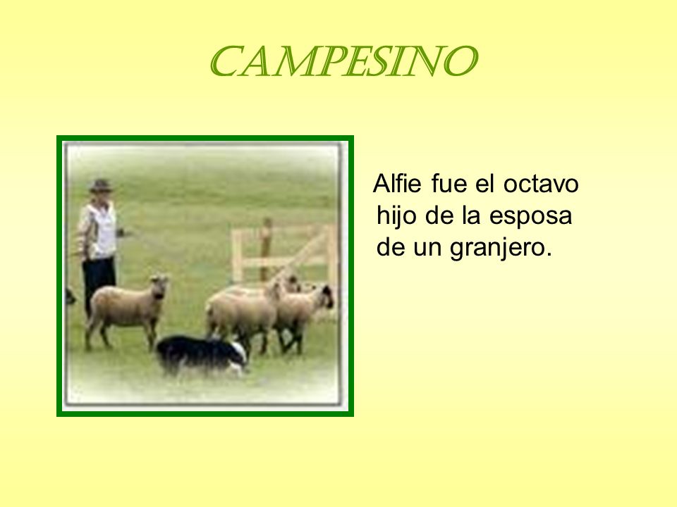 Campesino Alfie fue el octavo hijo de la esposa de un granjero.