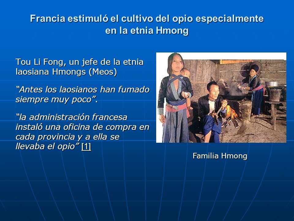 Francia estimuló el cultivo del opio especialmente en la etnia Hmong