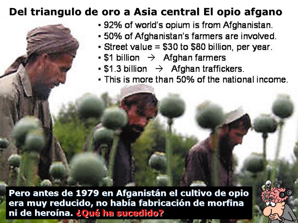Del triangulo de oro a Asia central El opio afgano