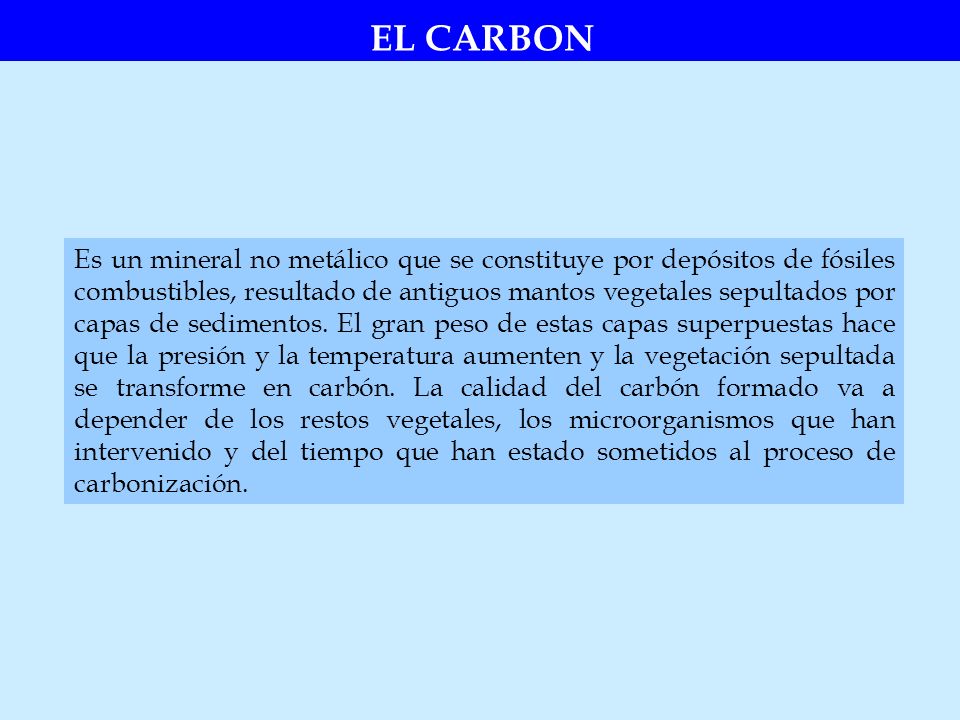 EL CARBON