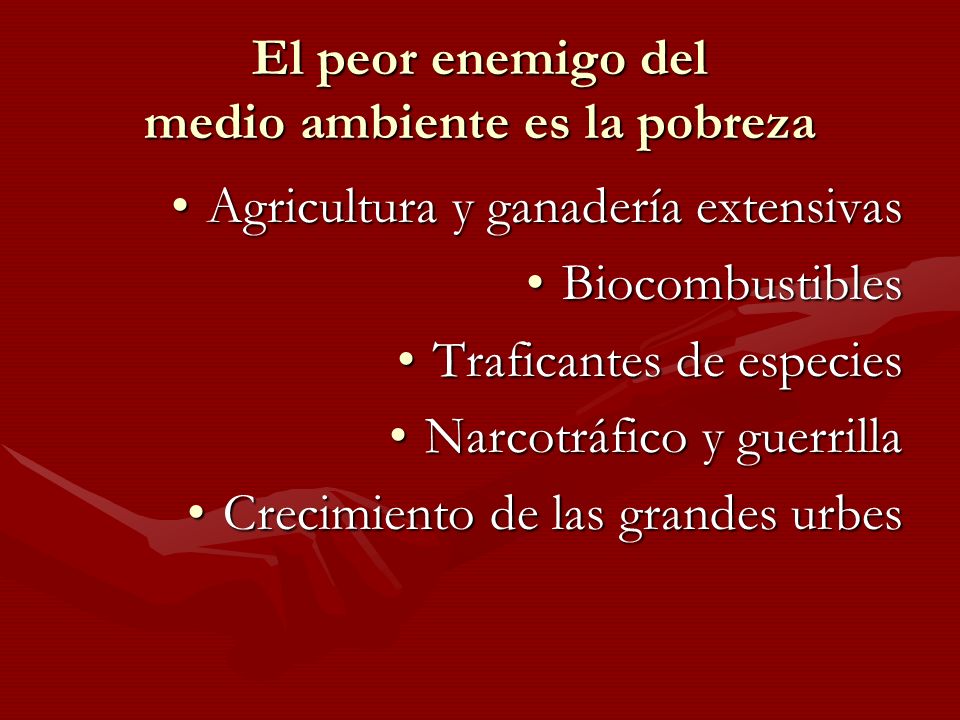 El peor enemigo del medio ambiente es la pobreza