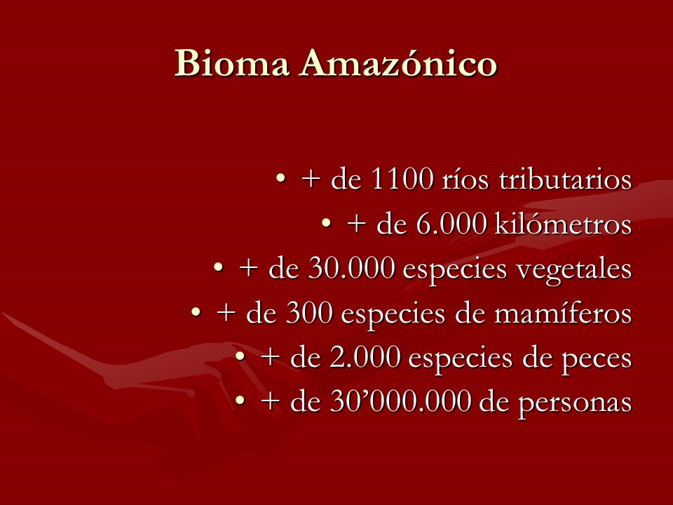 Bioma Amazónico + de 1100 ríos tributarios + de kilómetros