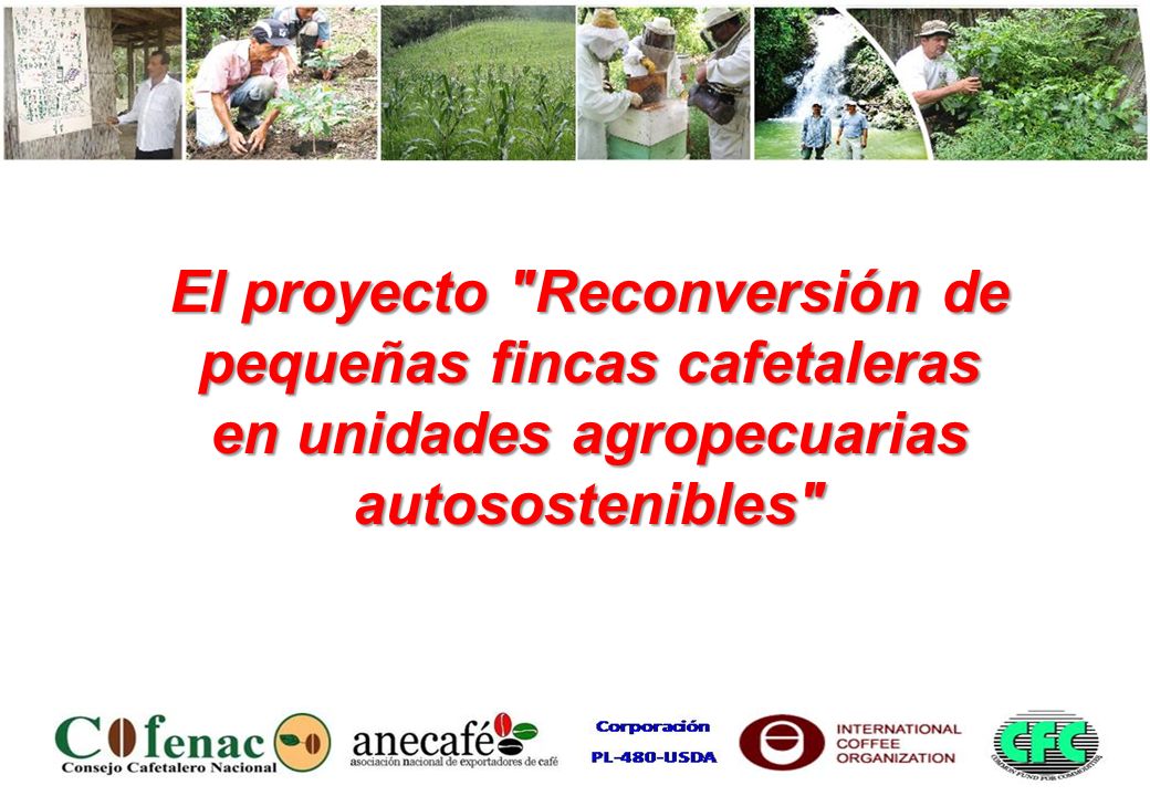 El proyecto Reconversión de pequeñas fincas cafetaleras en unidades agropecuarias autosostenibles