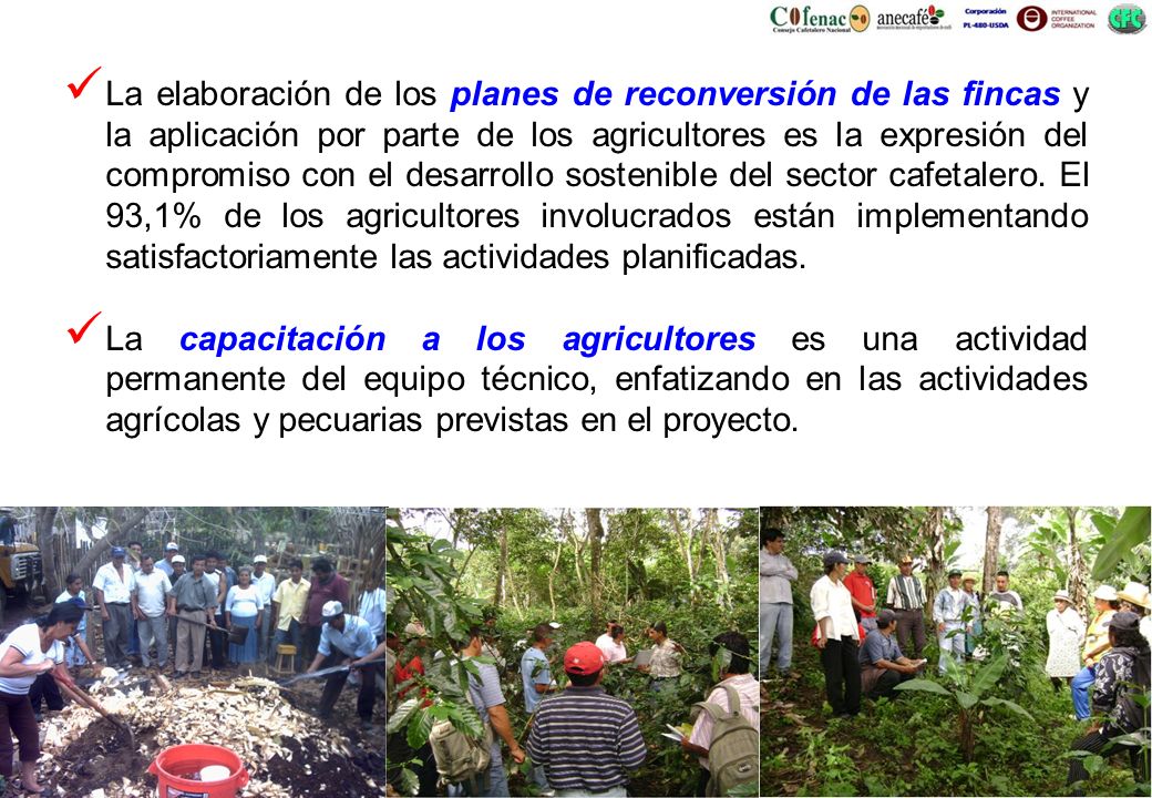 La elaboración de los planes de reconversión de las fincas y la aplicación por parte de los agricultores es la expresión del compromiso con el desarrollo sostenible del sector cafetalero. El 93,1% de los agricultores involucrados están implementando satisfactoriamente las actividades planificadas.