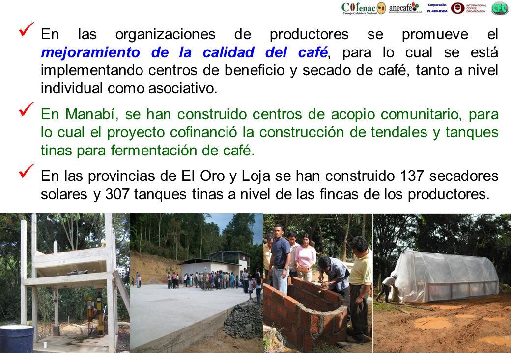 En las organizaciones de productores se promueve el mejoramiento de la calidad del café, para lo cual se está implementando centros de beneficio y secado de café, tanto a nivel individual como asociativo.