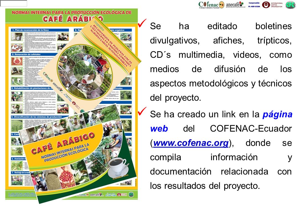 Se ha editado boletines divulgativos, afiches, trípticos, CD´s multimedia, videos, como medios de difusión de los aspectos metodológicos y técnicos del proyecto.