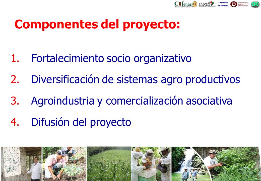 Componentes del proyecto: