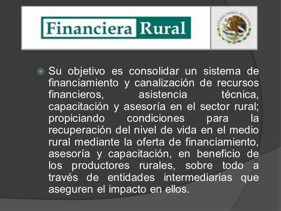 Su objetivo es consolidar un sistema de financiamiento y canalización de recursos financieros, asistencia técnica, capacitación y asesoría en el sector rural; propiciando condiciones para la recuperación del nivel de vida en el medio rural mediante la oferta de financiamiento, asesoría y capacitación, en beneficio de los productores rurales, sobre todo a través de entidades intermediarias que aseguren el impacto en ellos.