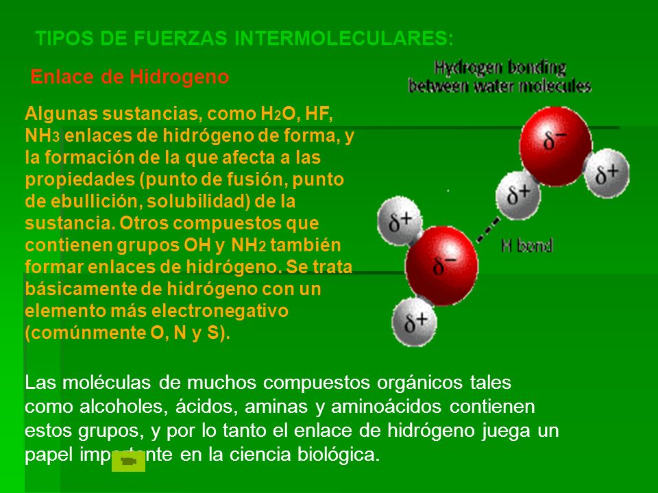 TIPOS DE FUERZAS INTERMOLECULARES: : Enlace de Hidrogeno