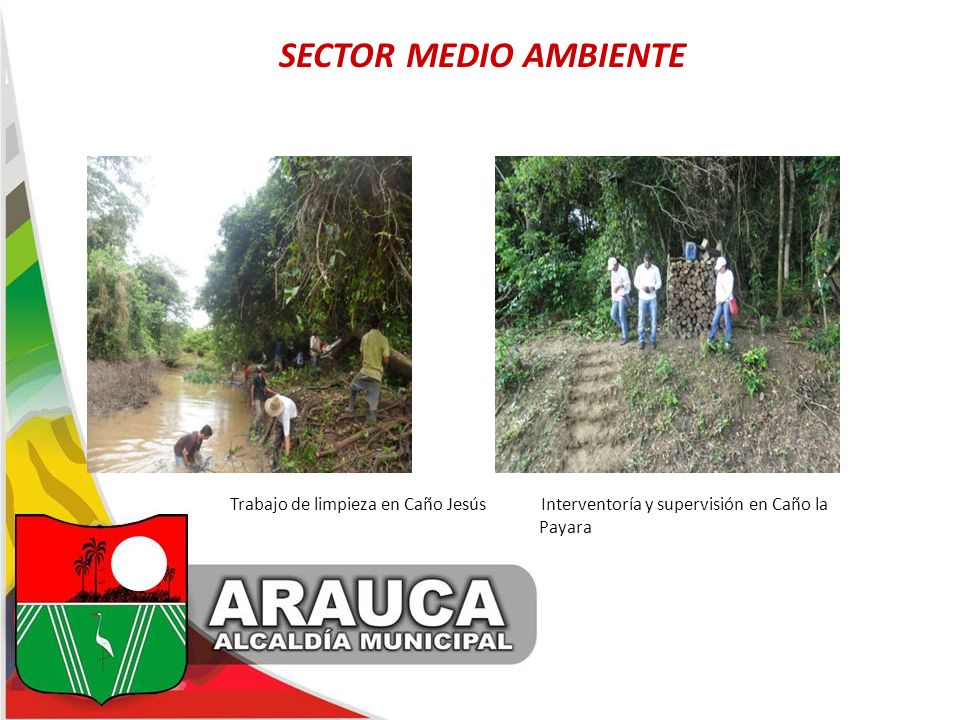 SECTOR MEDIO AMBIENTE Trabajo de limpieza en Caño Jesús Interventoría y supervisión en Caño la Payara.